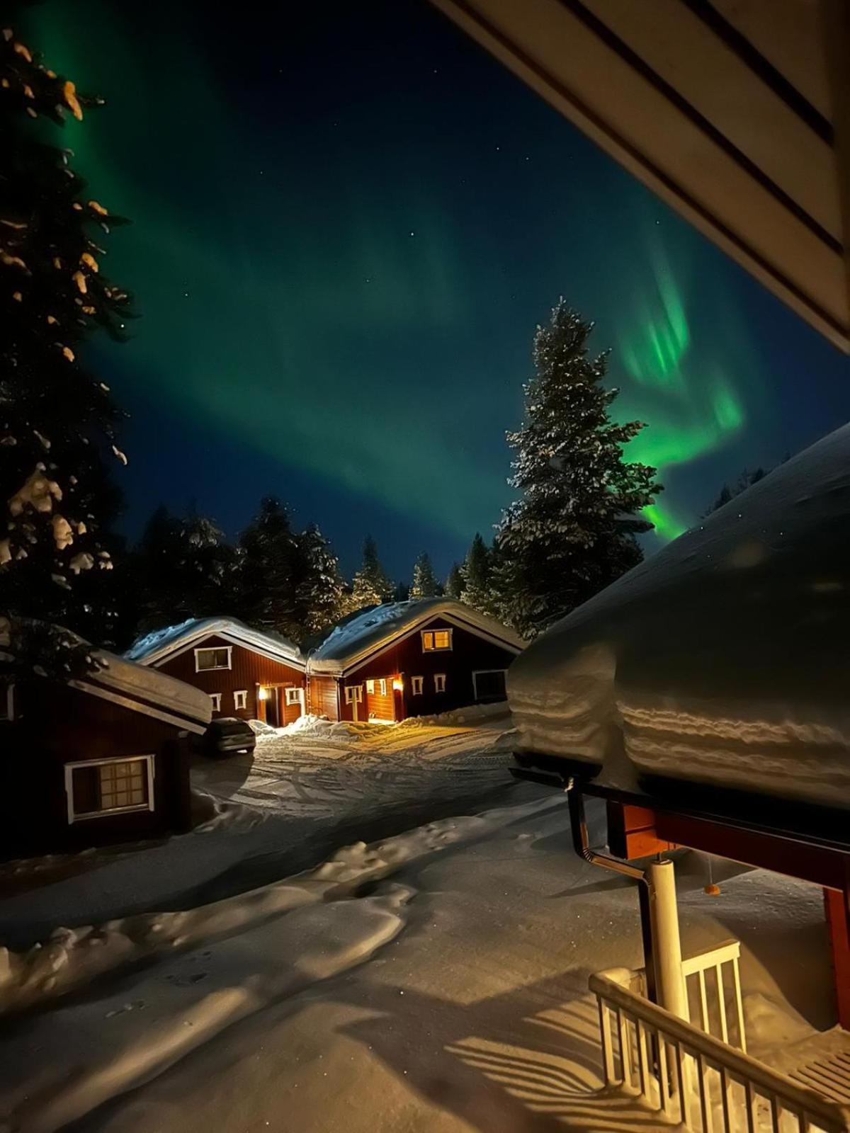 Chalet Cheminee Sauna Pas De Drap Pas De Serviette Menage Compris Сиркка Экстерьер фото